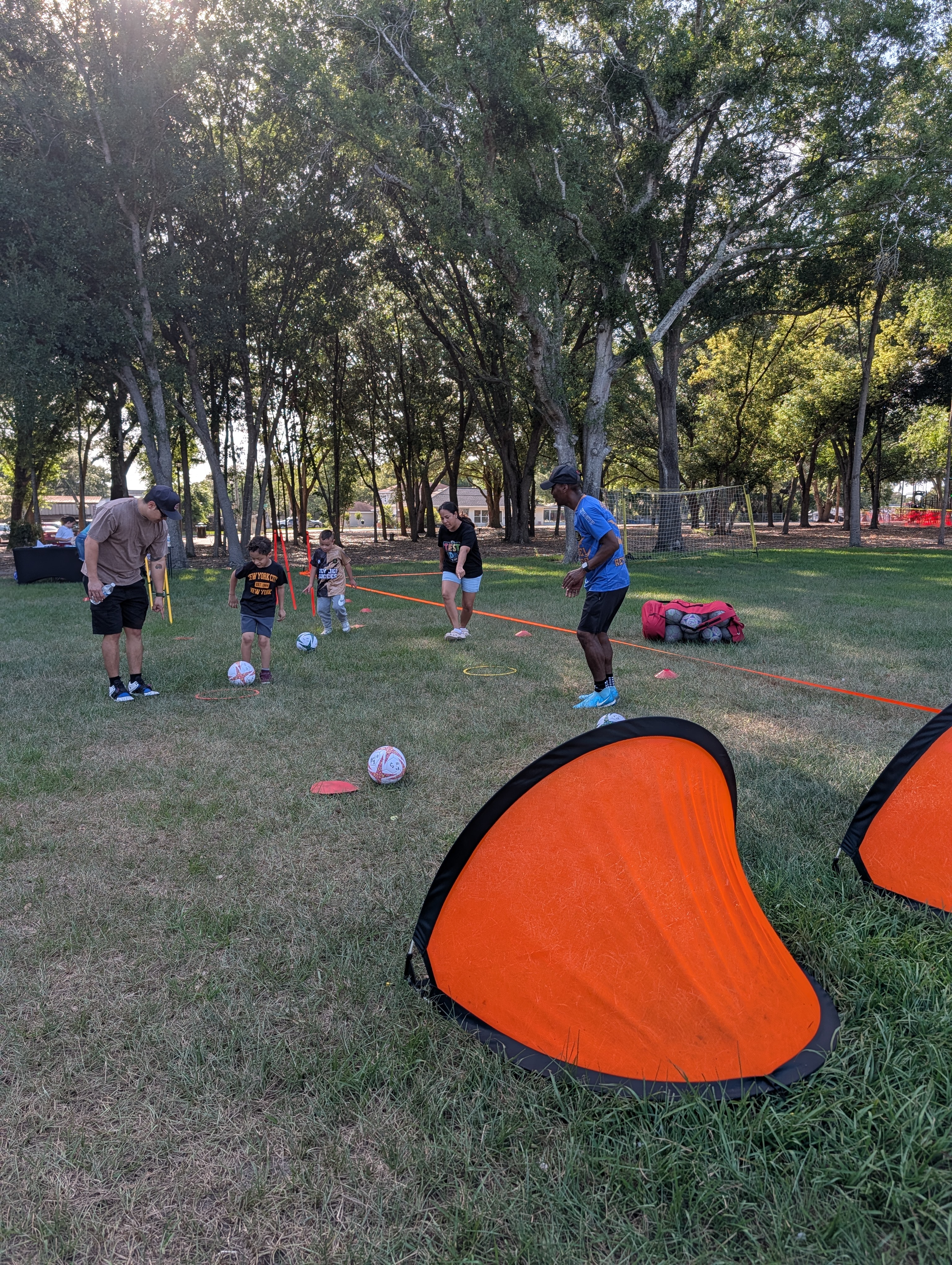 Adaptive Program